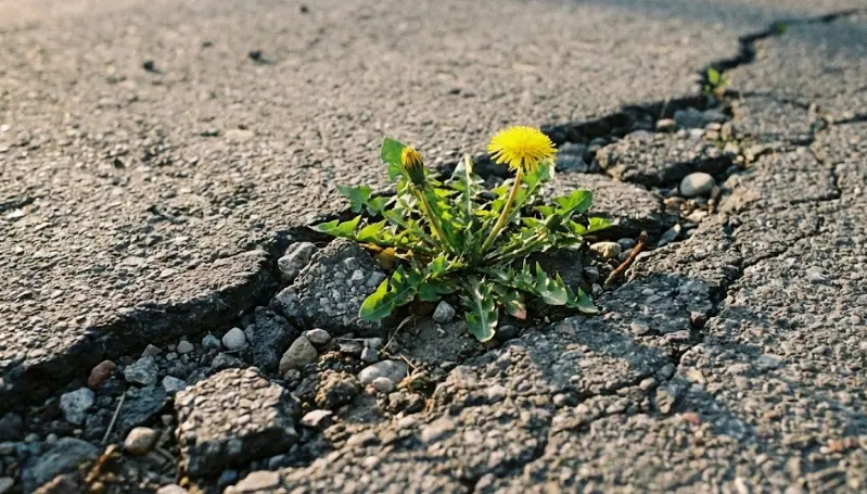 ¿Por qué algunos se rompen y otros rebotan? Guía para desarrollar una Mente Indestructible